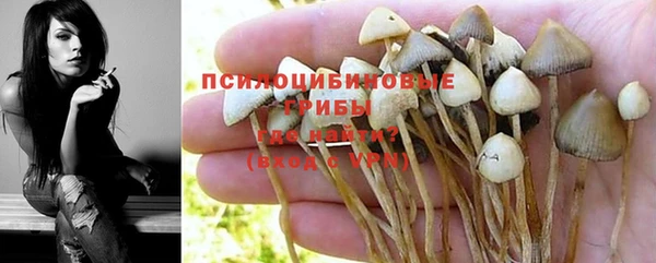 MESCALINE Богородицк